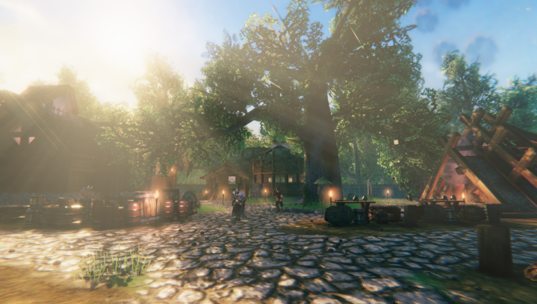 Skjoldheim2 - Village Viking - Valheim